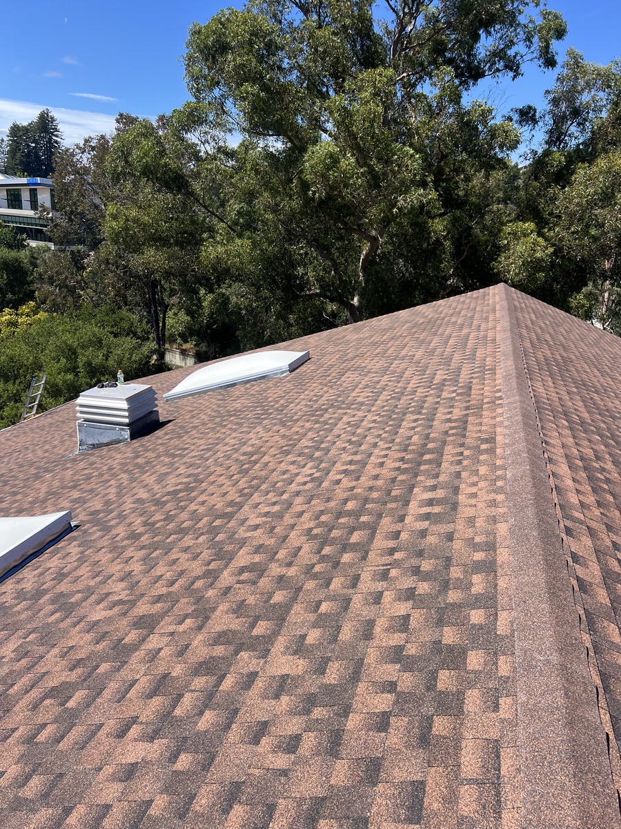 New Shingle Roof, CA
