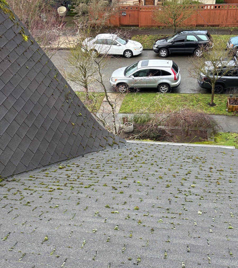7728 14th Avenue Northeast , Seattle, WA, US