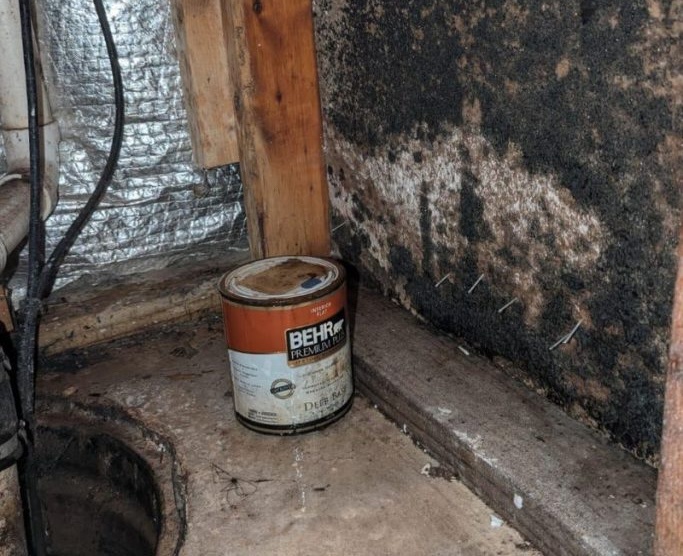 FPG Construction LLC — Mold Remediation Services