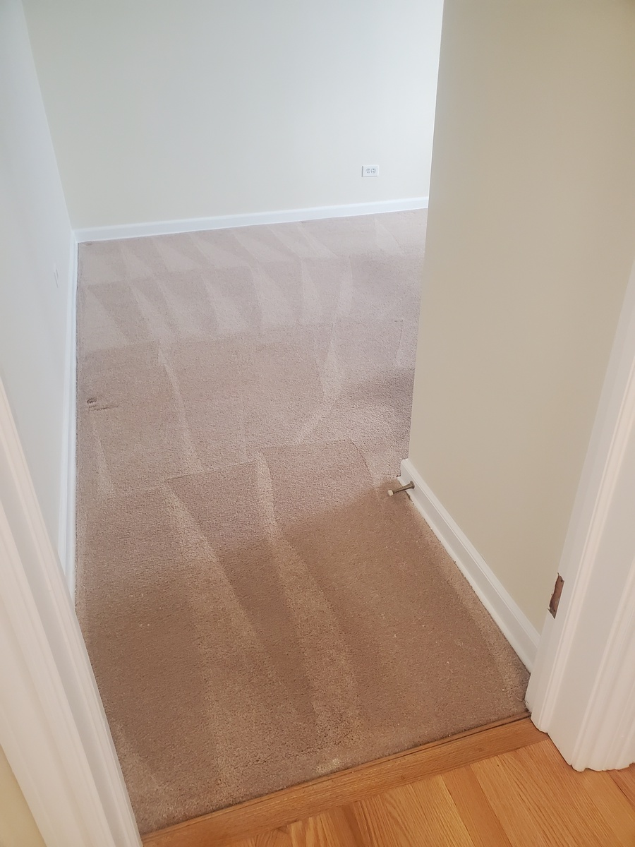 1012 South Hamlin Avenue , Park Ridge, IL, US