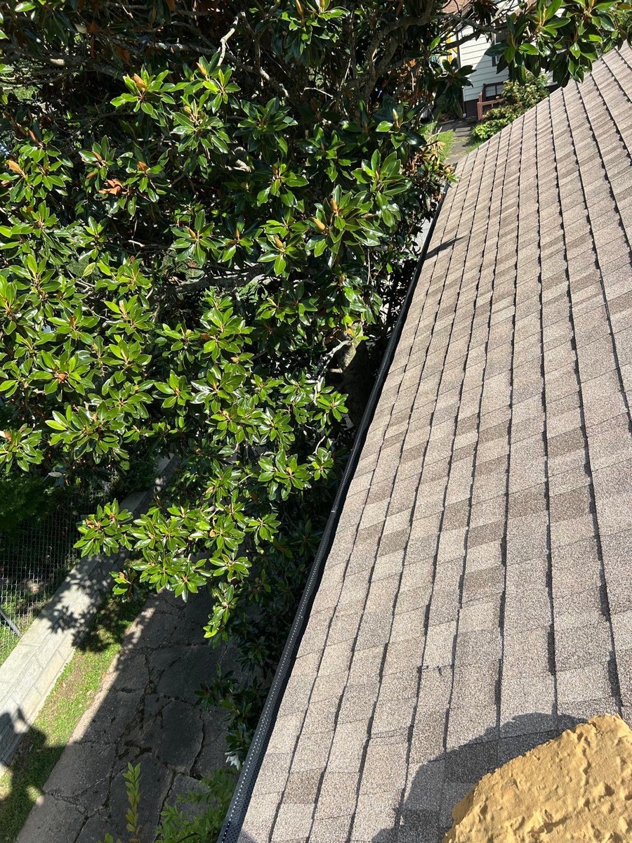 131 Evelyn Place , Asheville, NC, US