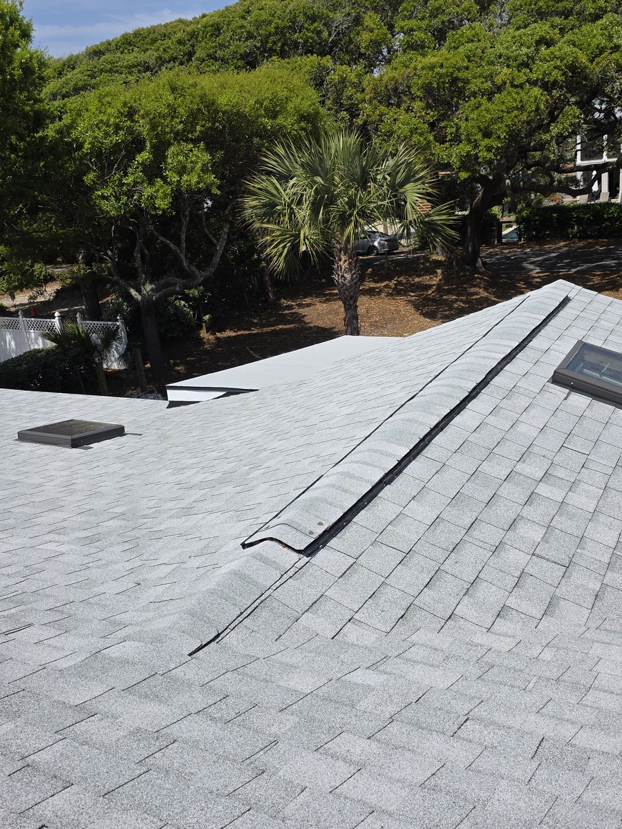 1006 East Arctic Avenue , Folly Beach, SC, US