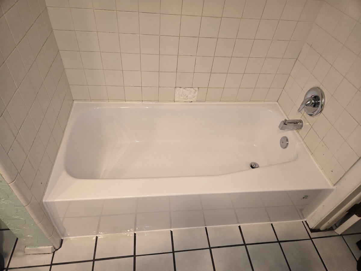 Palm Harbor, FL, 34683, US