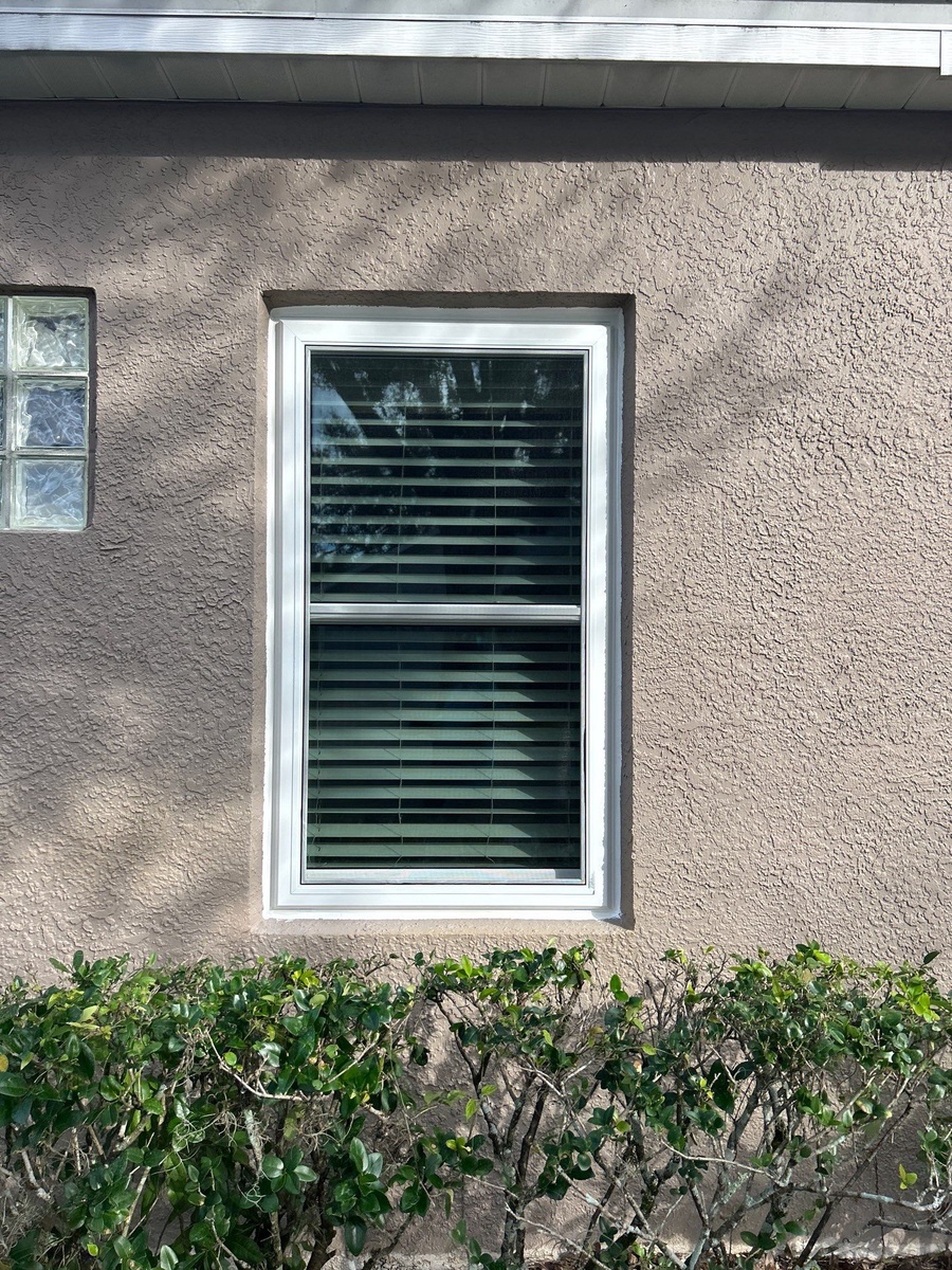 4610 Corsage Drive , Lutz, FL, US