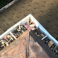 705 Jefferson Avenue , Waynesboro, VA, US