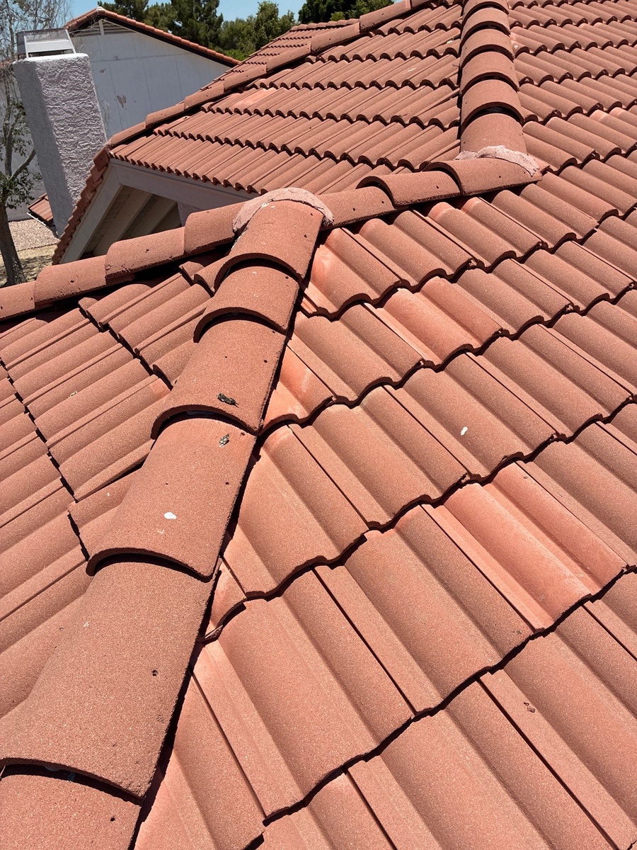 Chandler, AZ, 85225, US