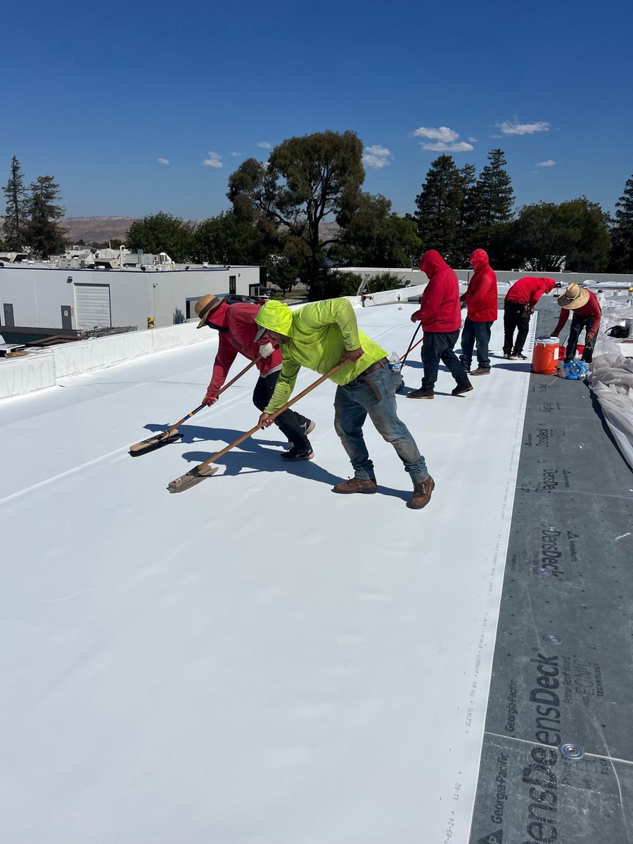 TPO Roof Replacement, CA