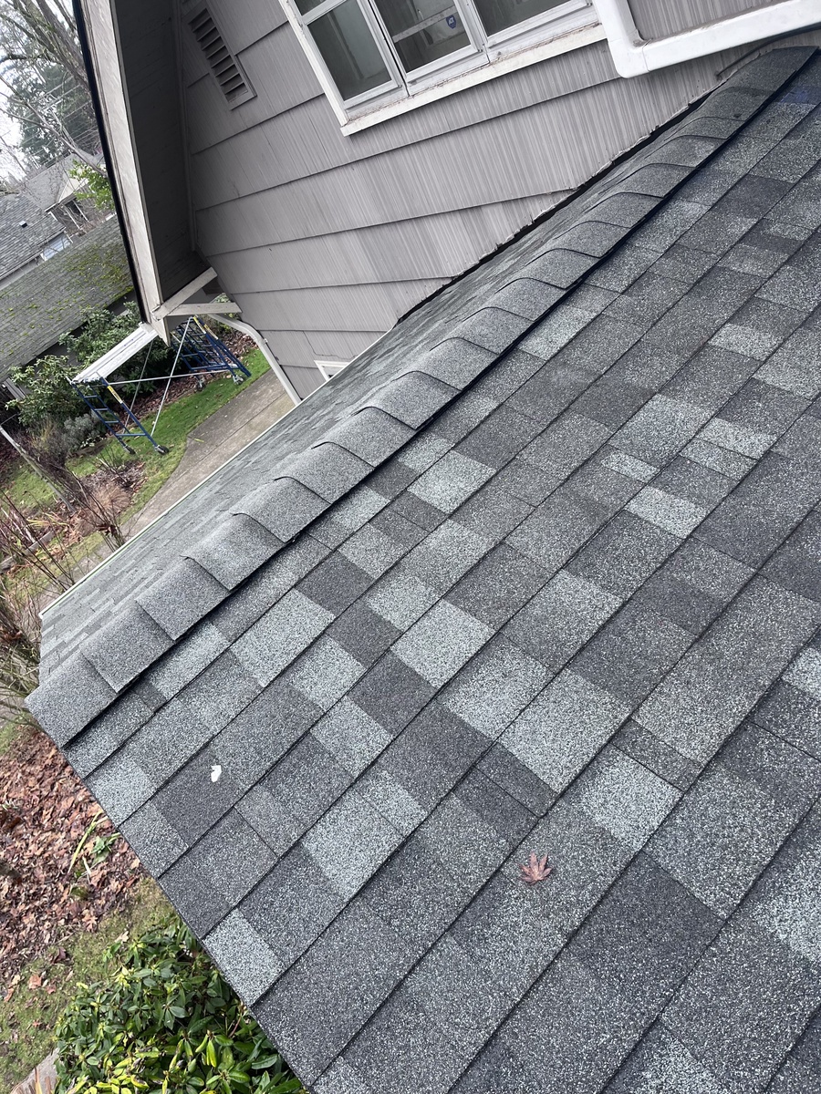 831 C Street , Springfield, OR, US