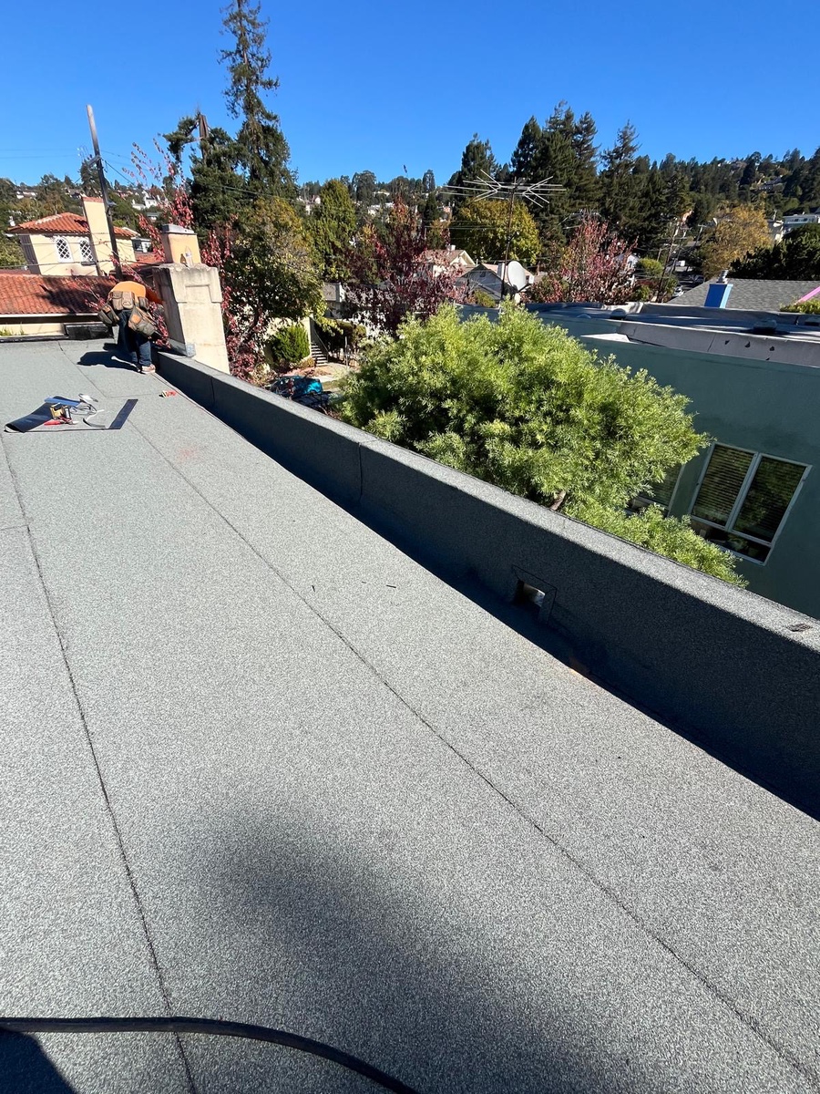 Catalina Avenue, Berkeley, CA, US