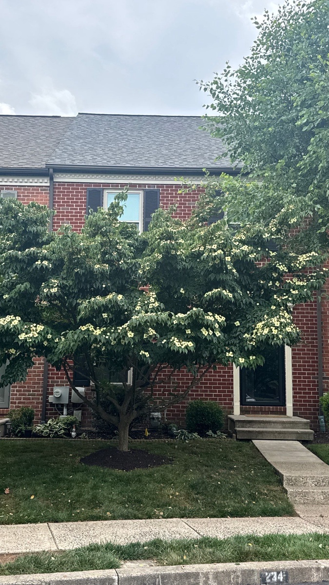 233 Troon Court , Royersford, PA, US
