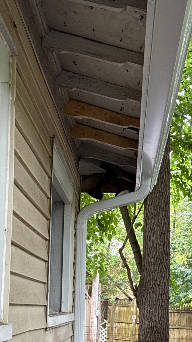 1224 Brooklyn Avenue , Ann Arbor, MI, US