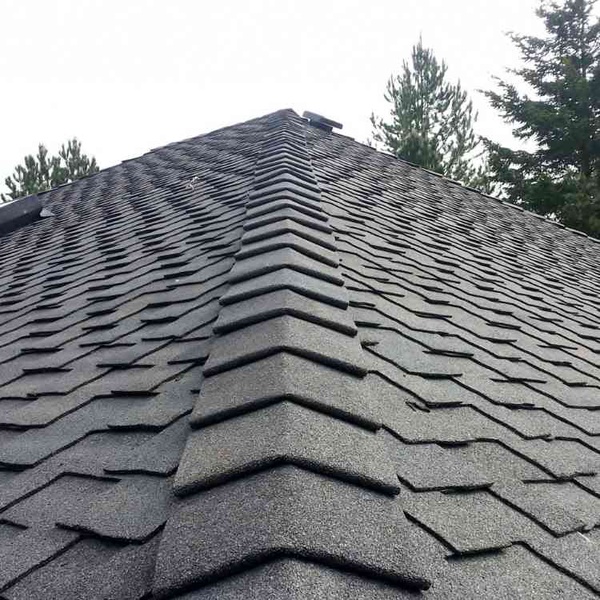 Polar Bear Exterior Solutions — Roofing
