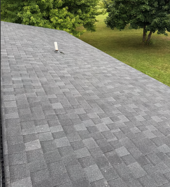 240 Lansing Road , Morrice, MI, US