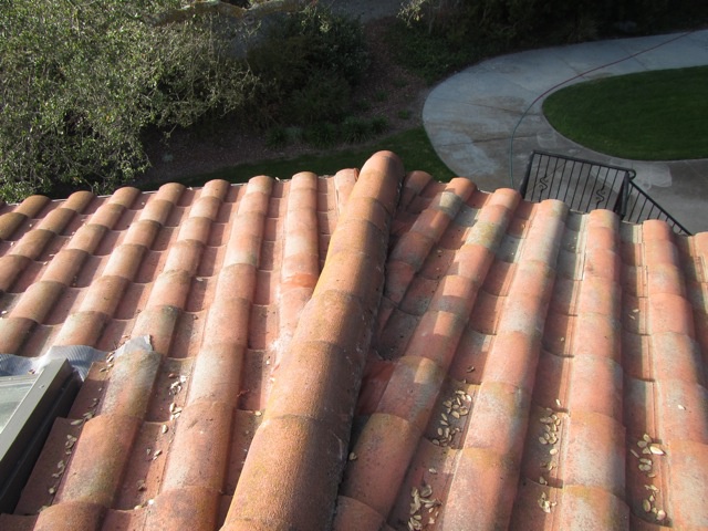 Los Altos, CA, 94024, US