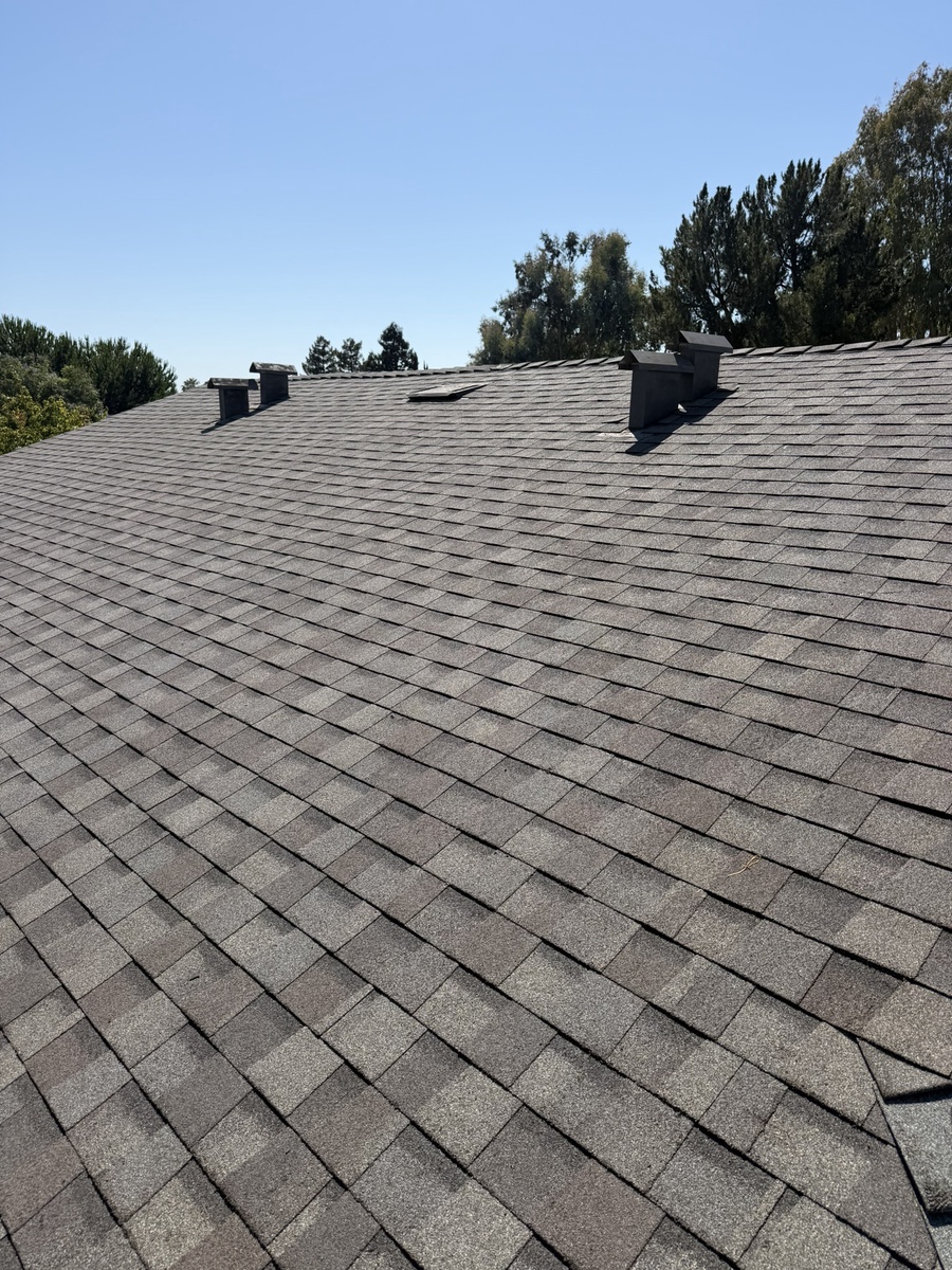 New Shingle and Bitumen Roof, CA