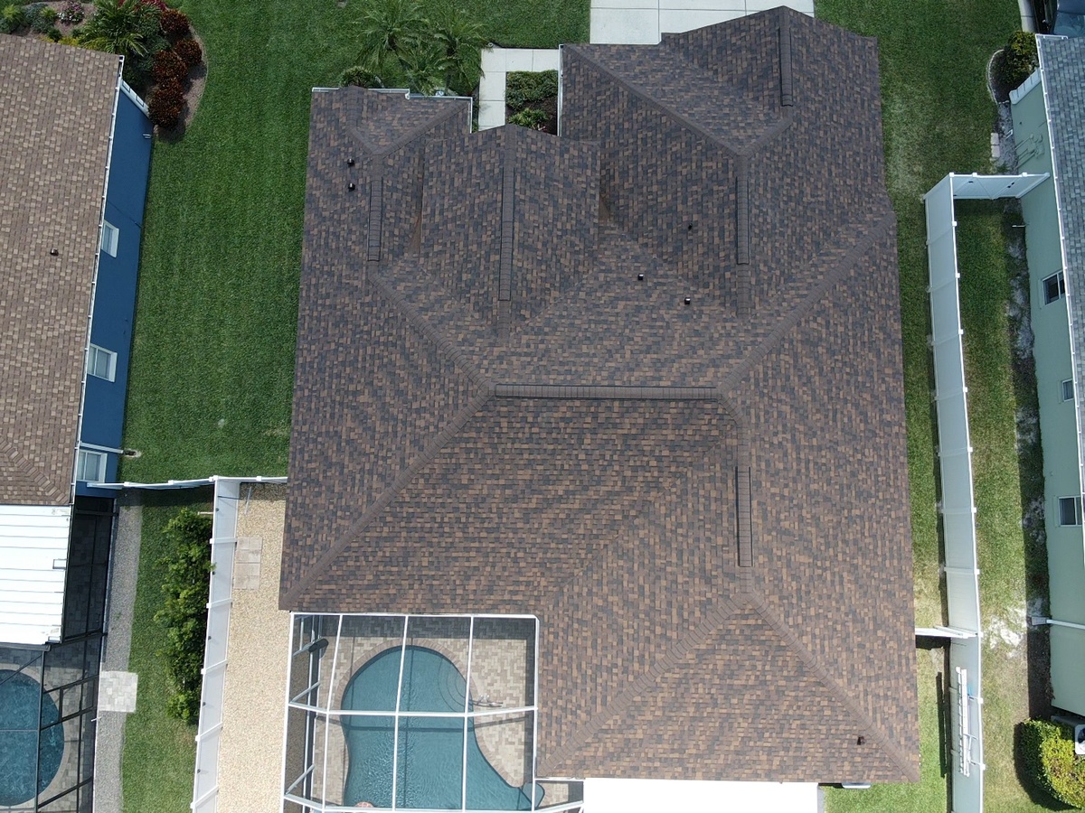 1535 African Violet Court , Trinity, FL, US