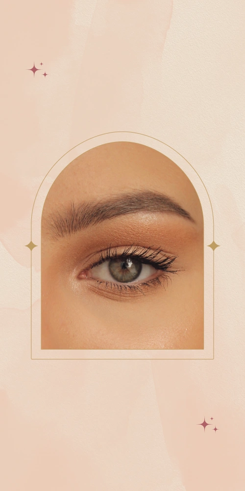 הטיפולים שלי