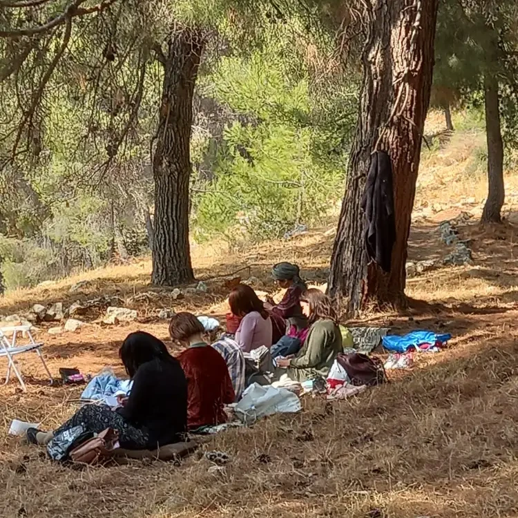 סדנת יער לגלות את המצפן הפנימי