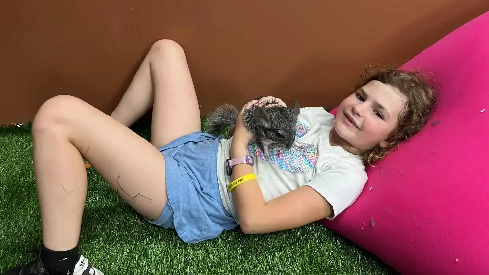 בלוג ומאמרים