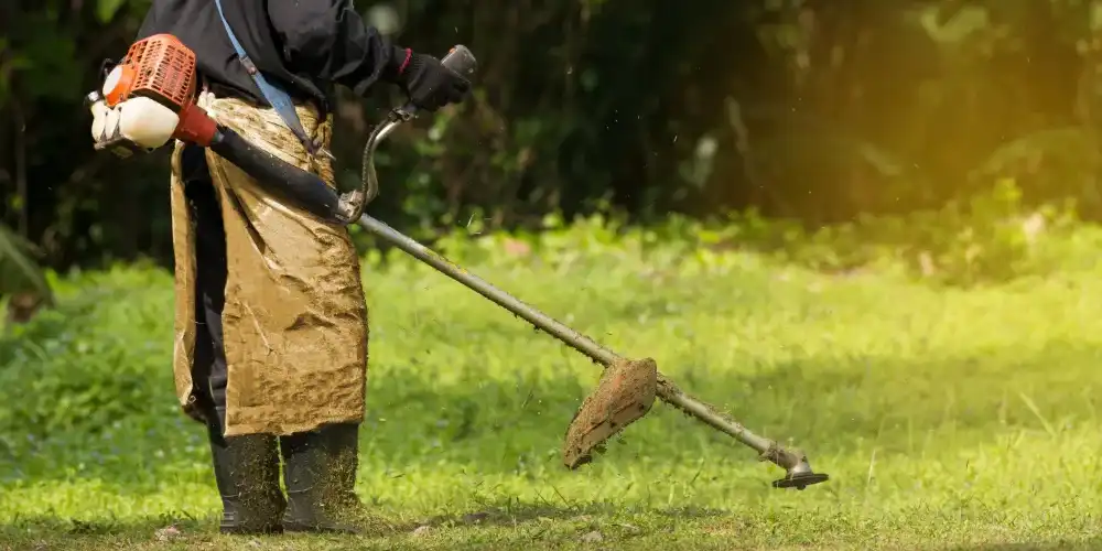 שירותי העסק