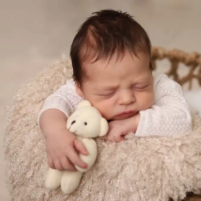 גלריית תמונות