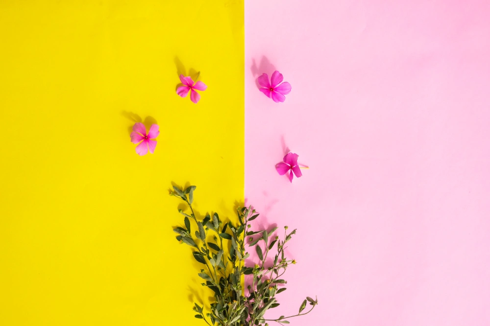 השירותים שלי