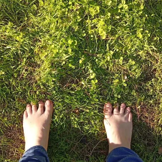 גראונדינג -התקרקעות