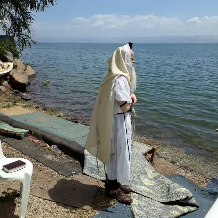 בלוג ומאמרים