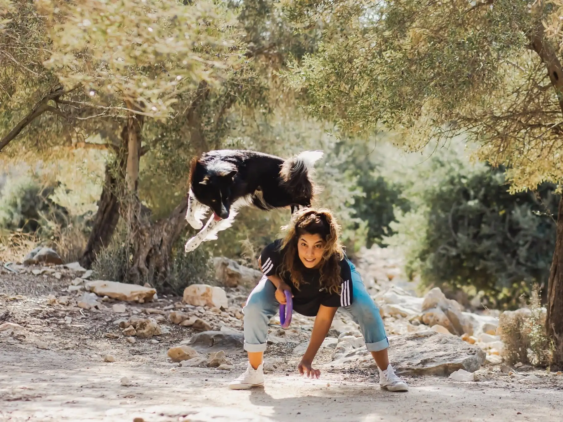 קצת עליי || שירה | דרך הכלב