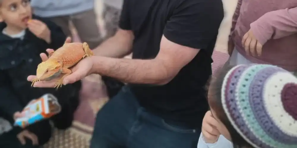 שירותי העסק