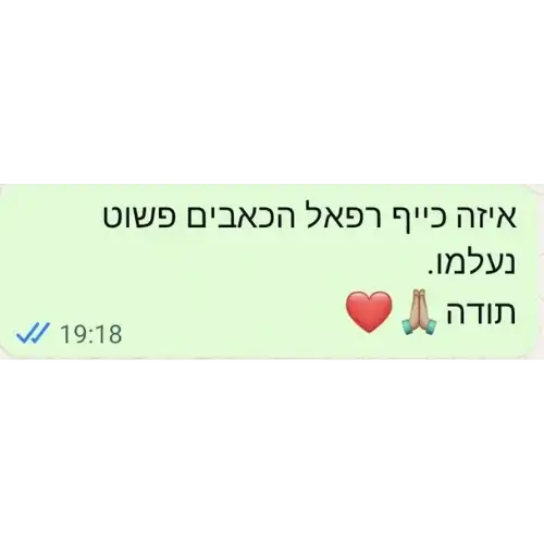 לקוחות ממליצים