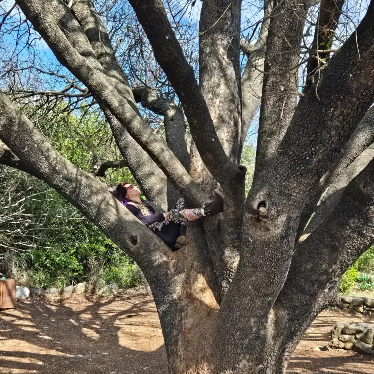 המלצות וטיפים 