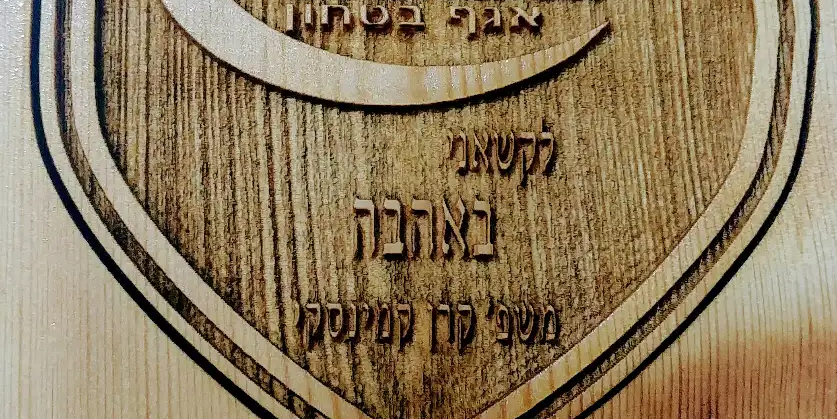 מגיני הוקרה