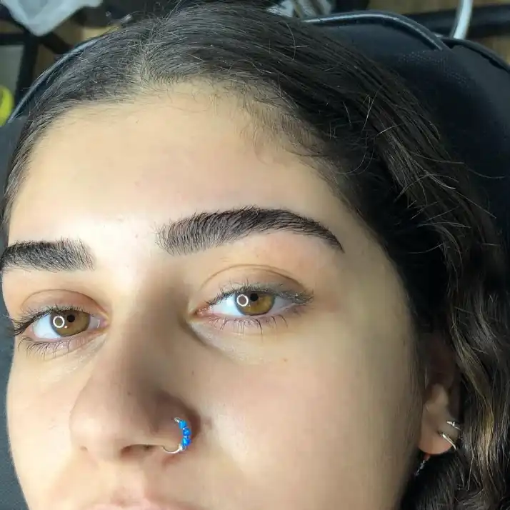 גלריית תמונות