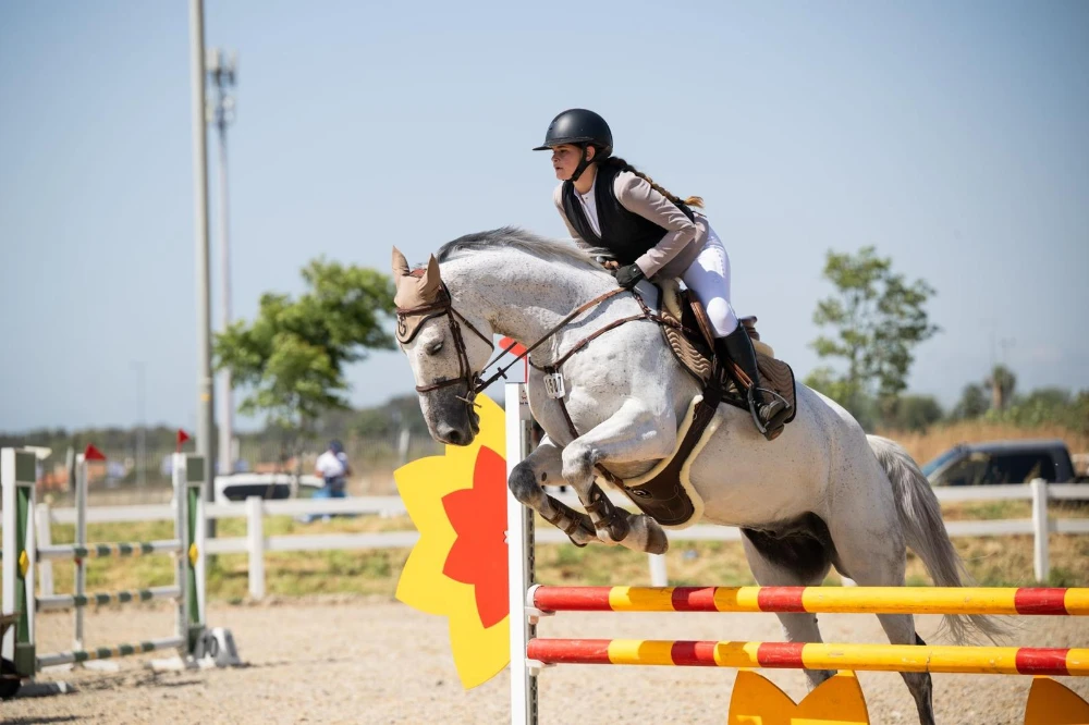 בלוג ומאמרים