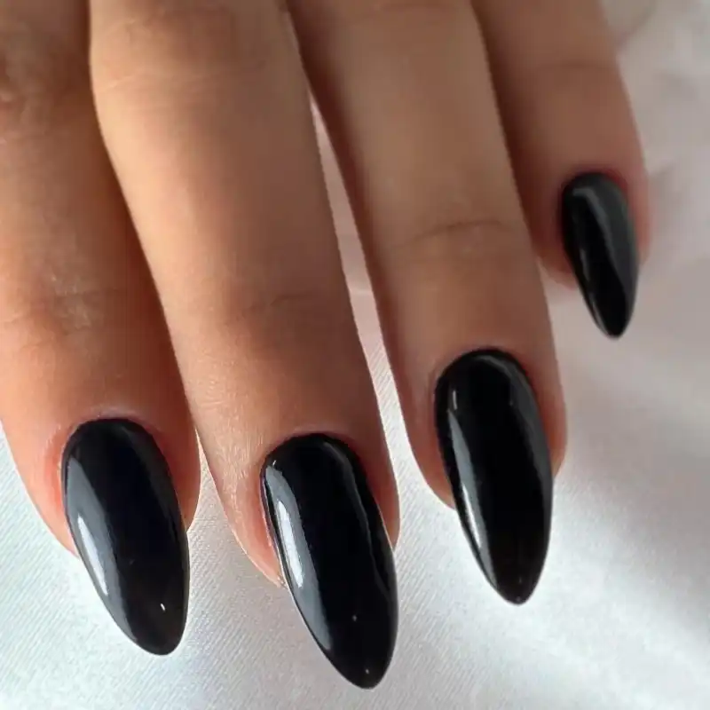 גלריית תמונות