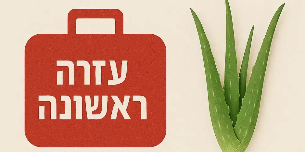 עזרה ראשונה