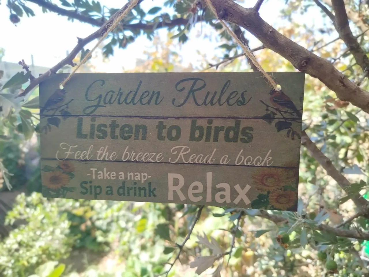 בלוג ומאמרים