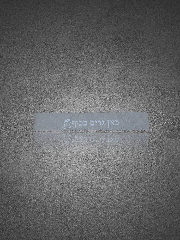 בקשות מיוחדות