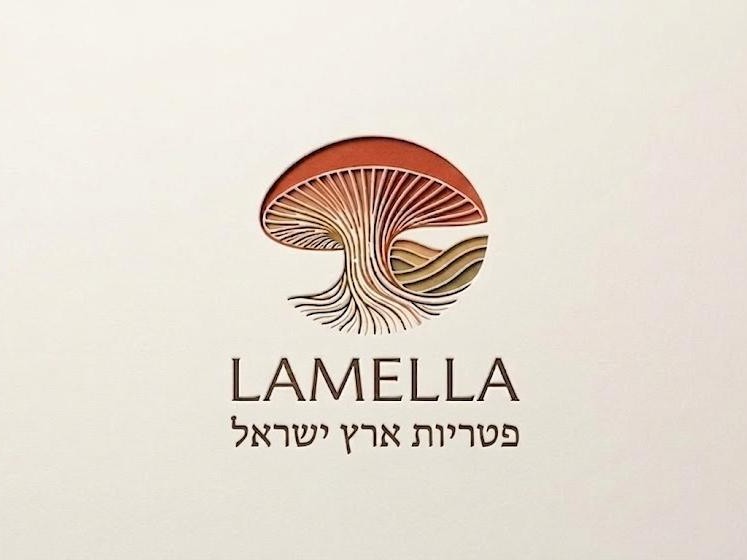 קצת עלינו || Lamella פטריות ארץ ישראל