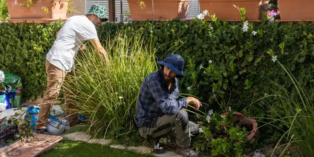 בלוג ומאמרים