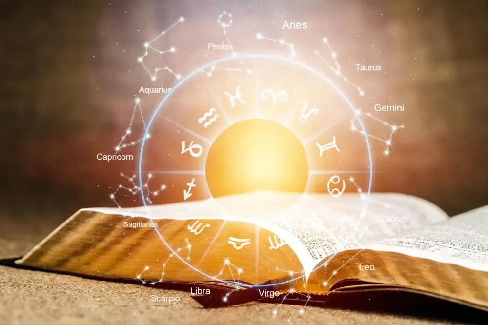 בלוג ומאמרים