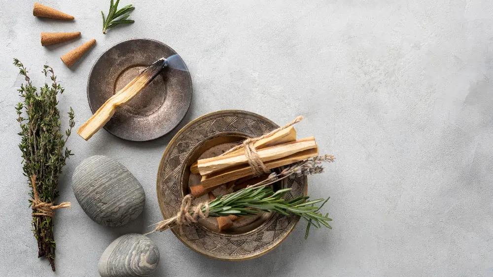 השירותים שלנו