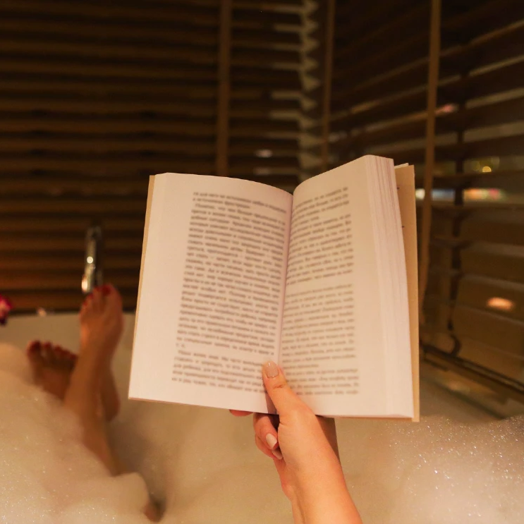 בלוג ומאמרים