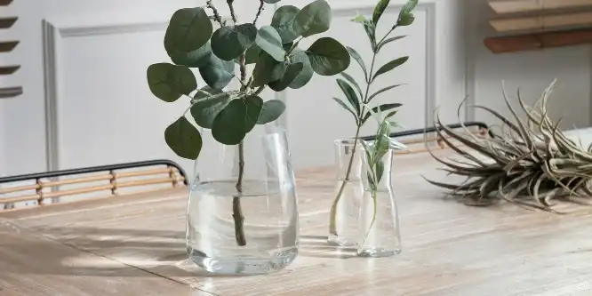 בלוג ומאמרים