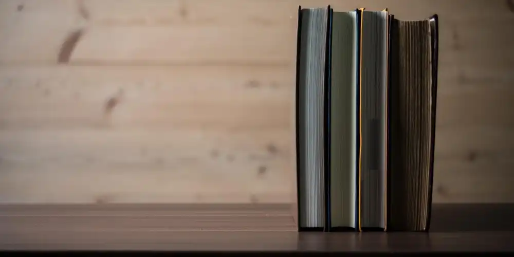 בלוג ומאמרים