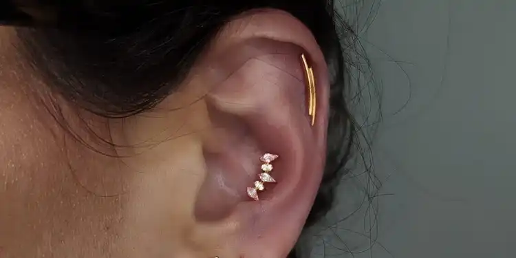 גלריה תמונות