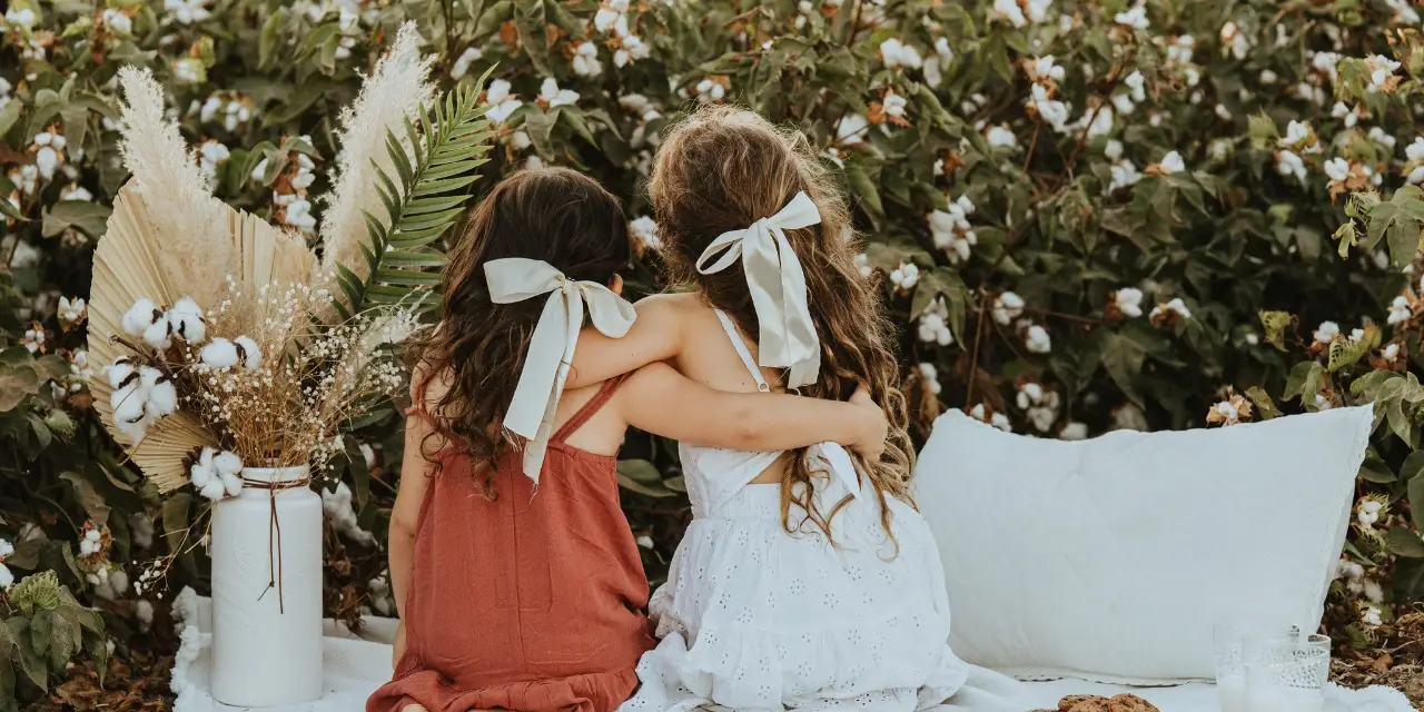 בלוג ומאמרים