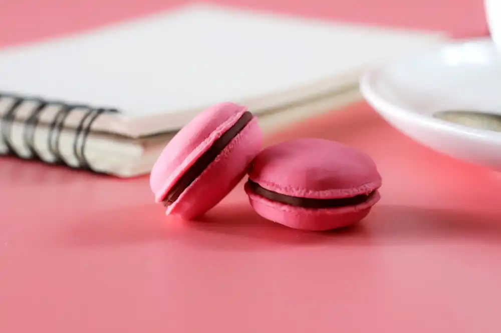 בלוג ומאמרים