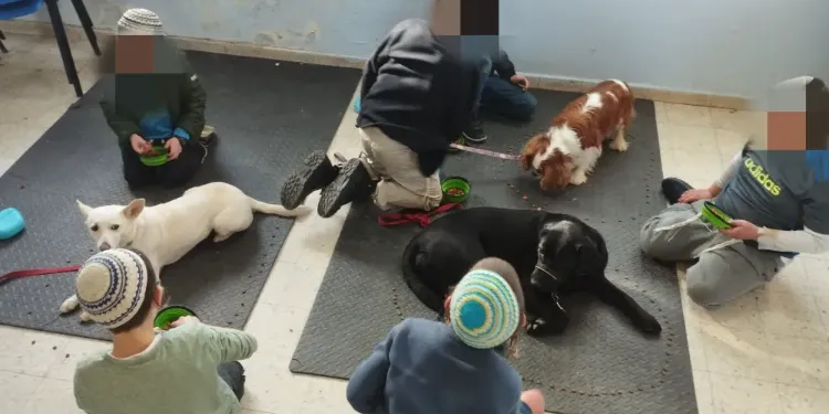 בתי ספר מספרים